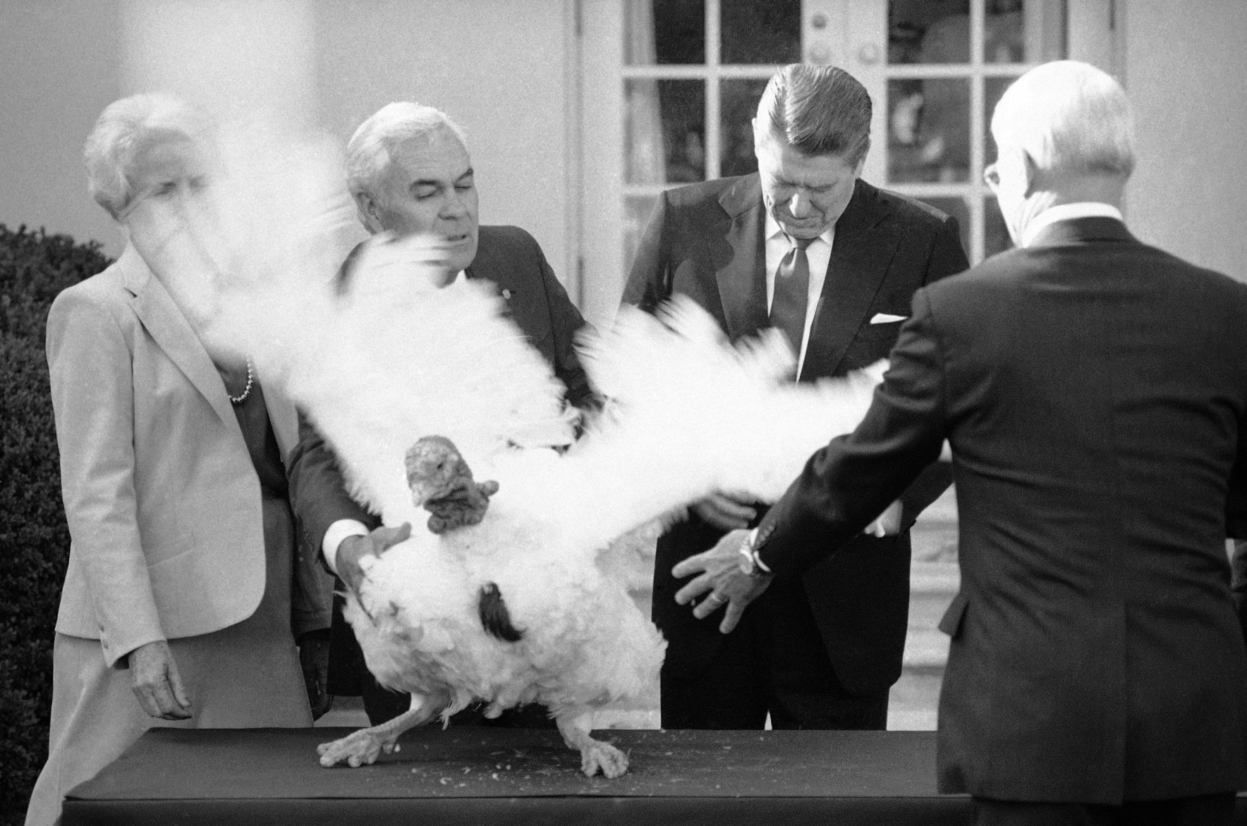 Reagan turkey pardon, 1984